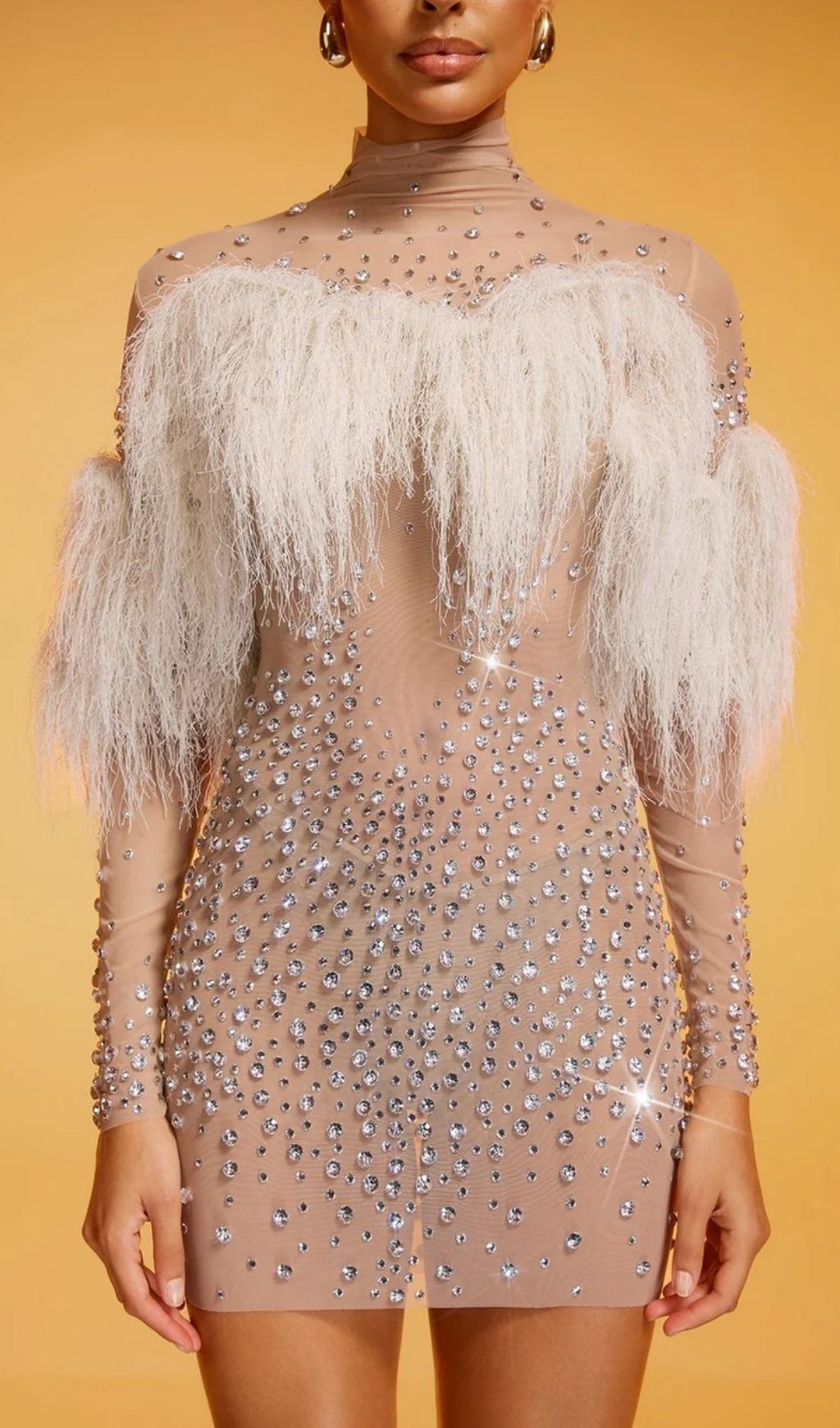 Diantha Dazzle & Fringe Rhinestone Mesh Mini Dress - Party & Club Glamour