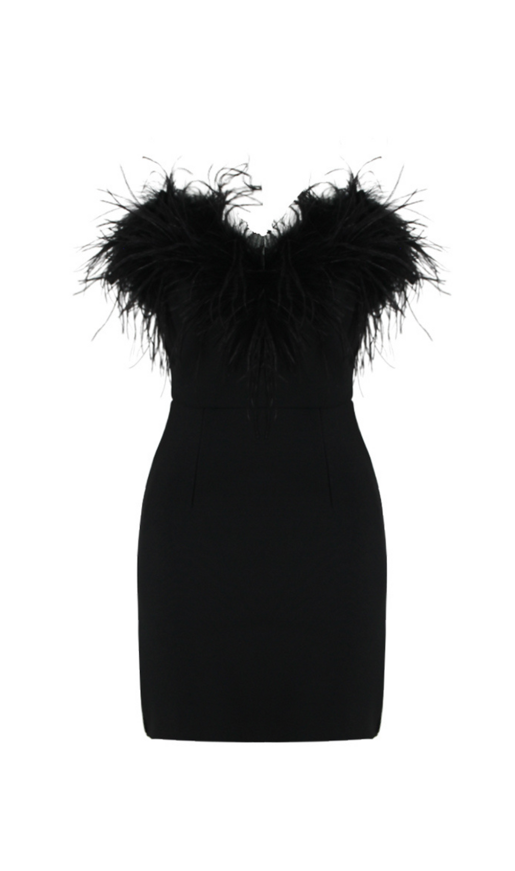 Agathe Black Feather Trim Mini Dress