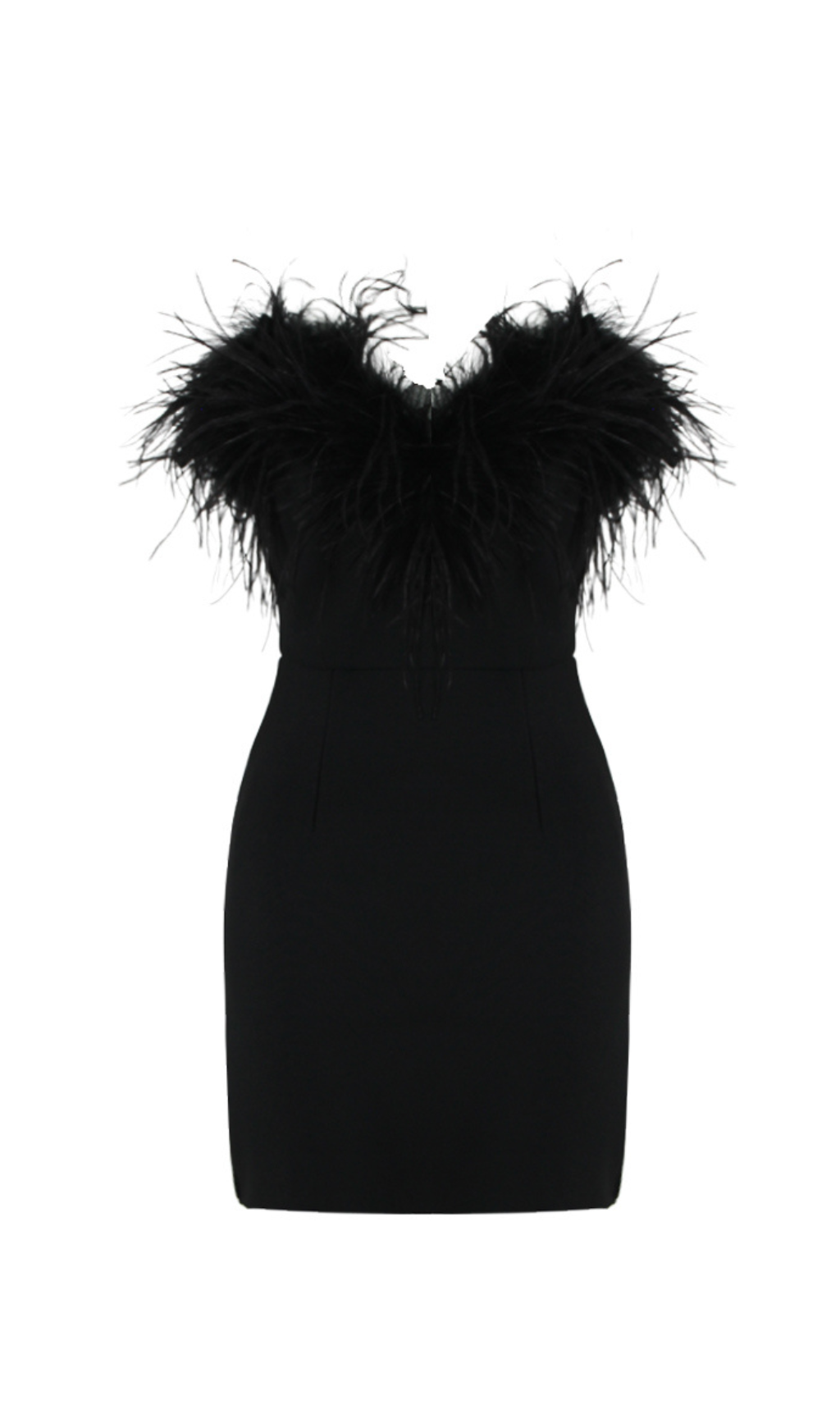Agathe Black Feather Trim Mini Dress