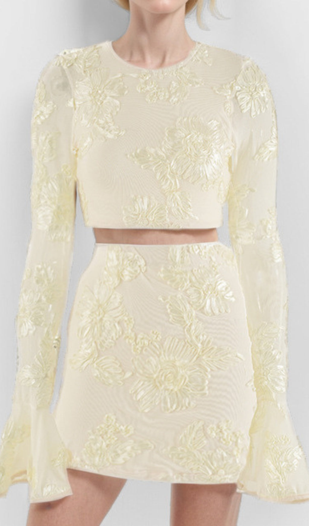 Daisy Flower Embroidery Flared Sleeve Skirt Set