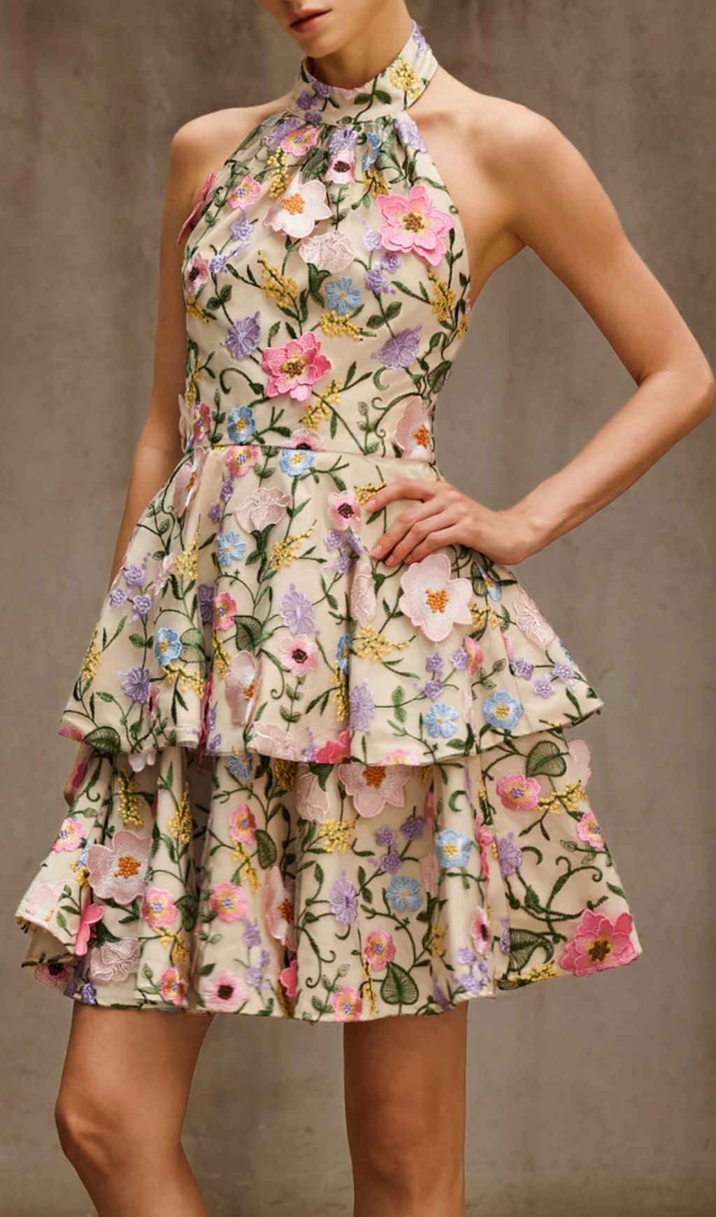 Dyllis Halterneck Floral Embroidered Mini Dress - Elegant Tiered Cocktail & Party Style