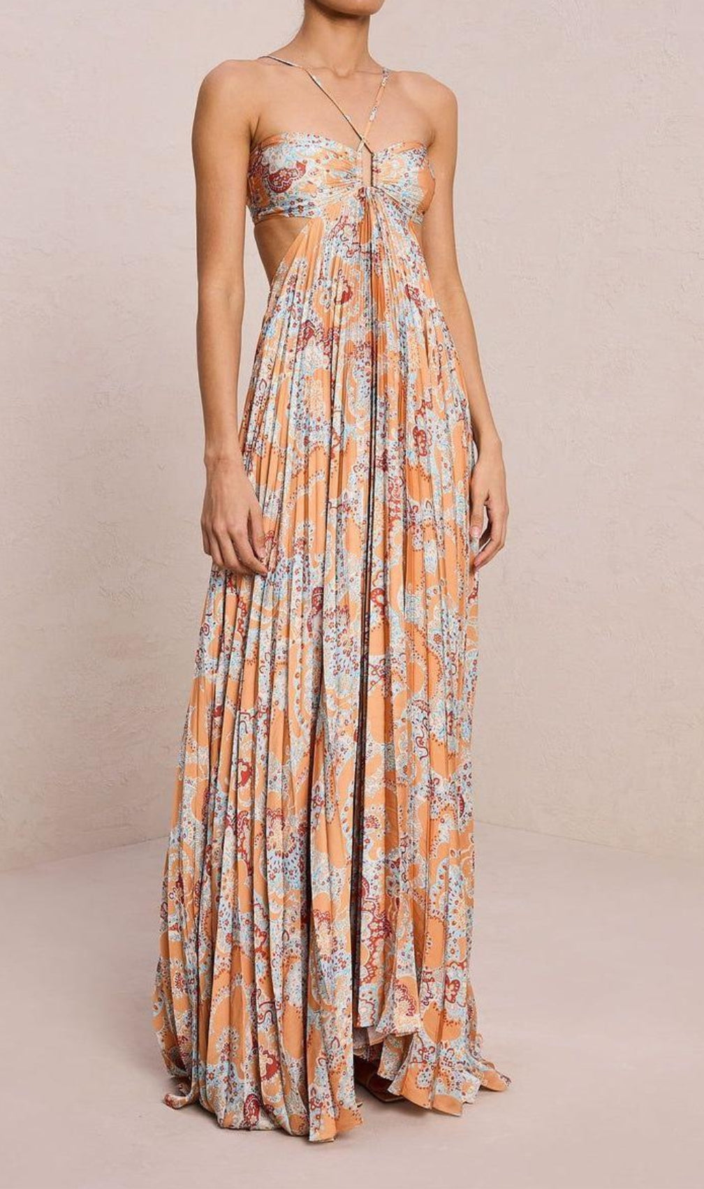 Dorisa Printed Backless Maxi Dress