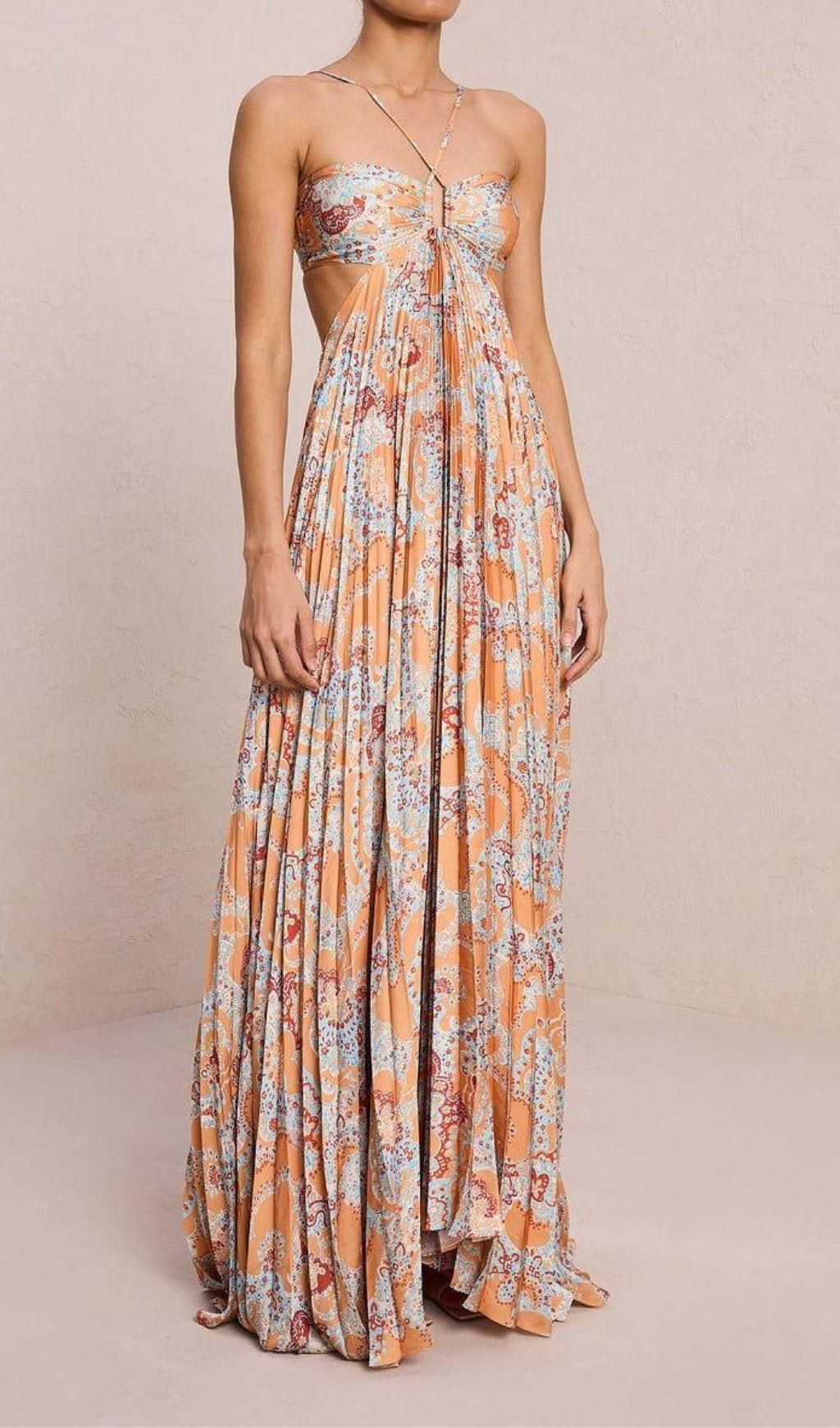 Dorisa Printed Backless Maxi Dress