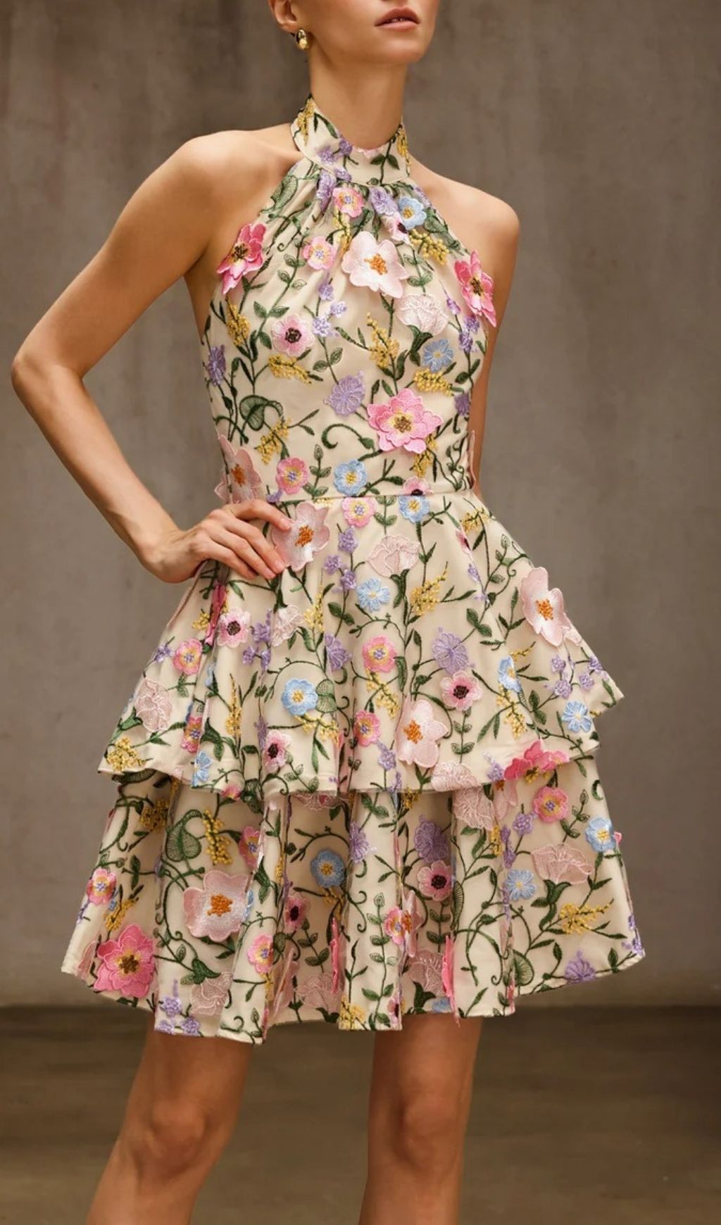 Dyllis Halterneck Floral Embroidered Mini Dress - Elegant Tiered Cocktail & Party Style