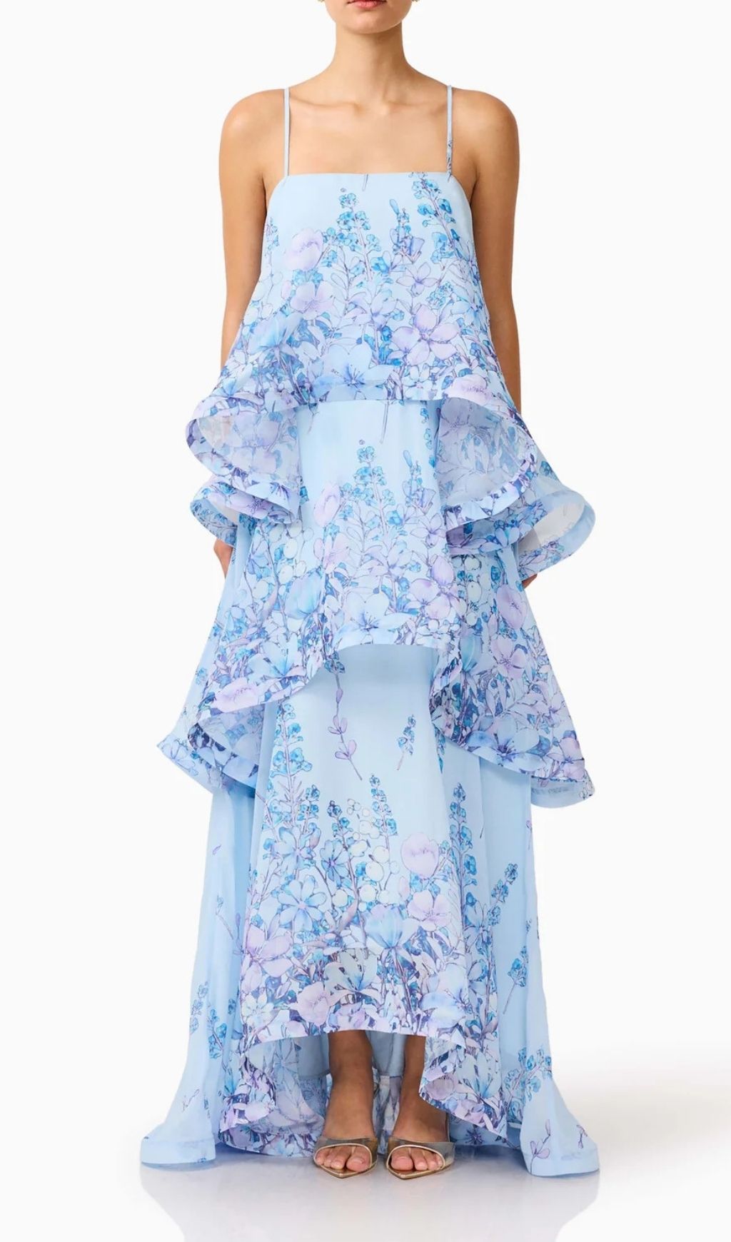 Lael Blue Floral Printed Maxi Dress
