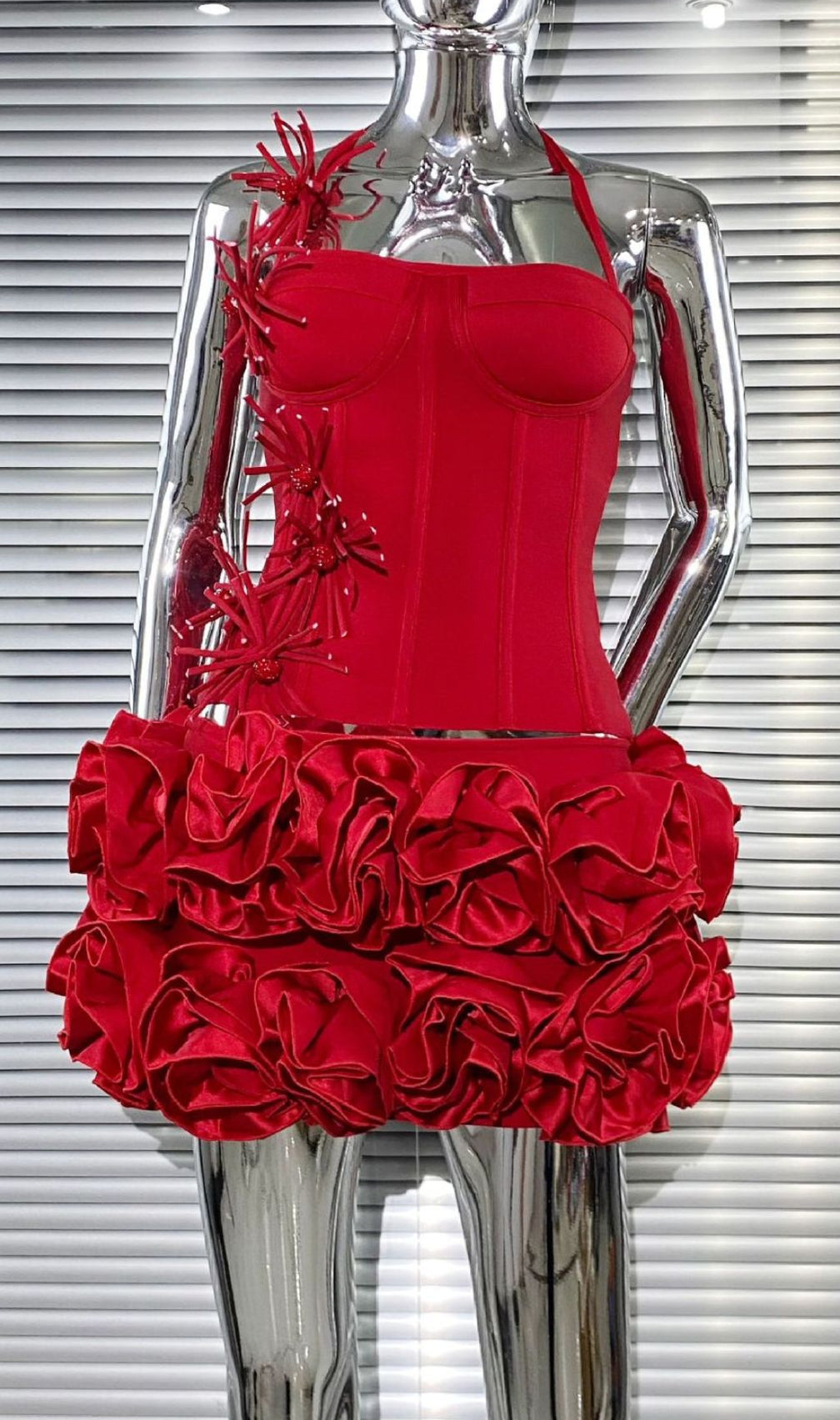 Joslyn Fiery Red Rose & Bandage Corset Two-Piece Set