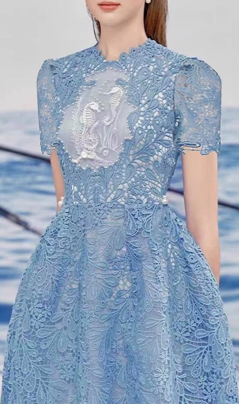 Arafa Blue Embroidery Midi Dress