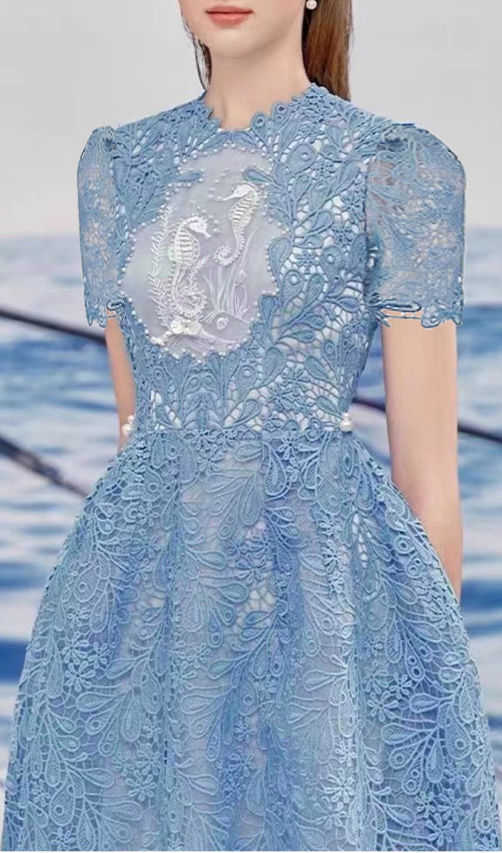 Arafa Blue Embroidery Midi Dress