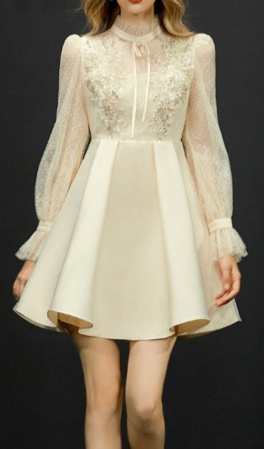 Aydin Sequin Lace Mini Dress