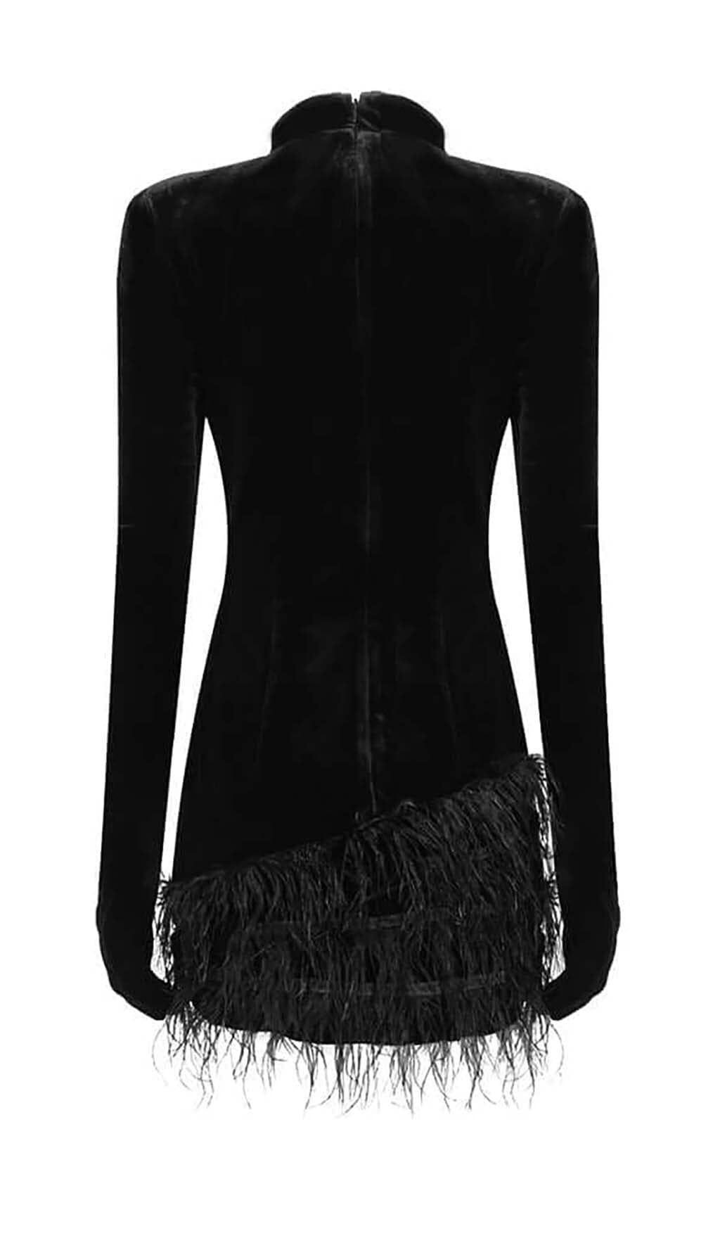 Embellished Velvet Feather Mini Dress In Black