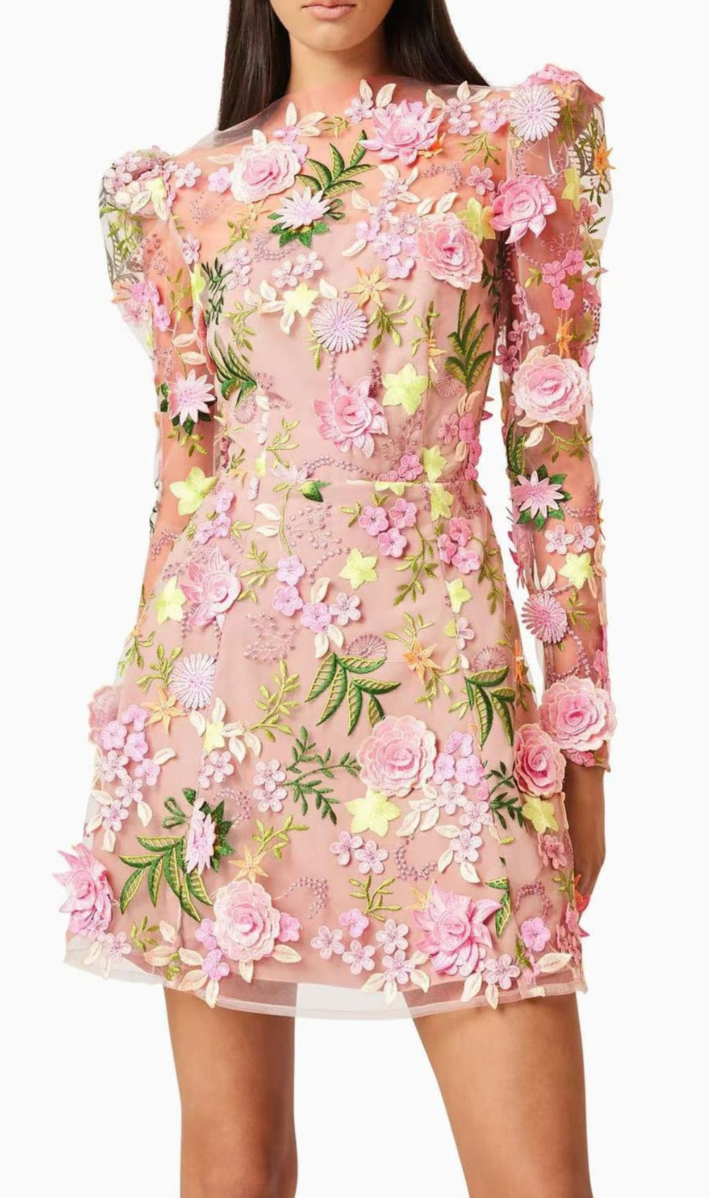 Emrys Flower Embroidery Long Sleeve Mini Dress