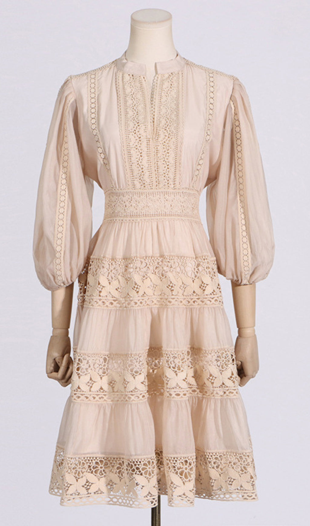 Astrea Puff Sleeve Embroidery Mini Dress