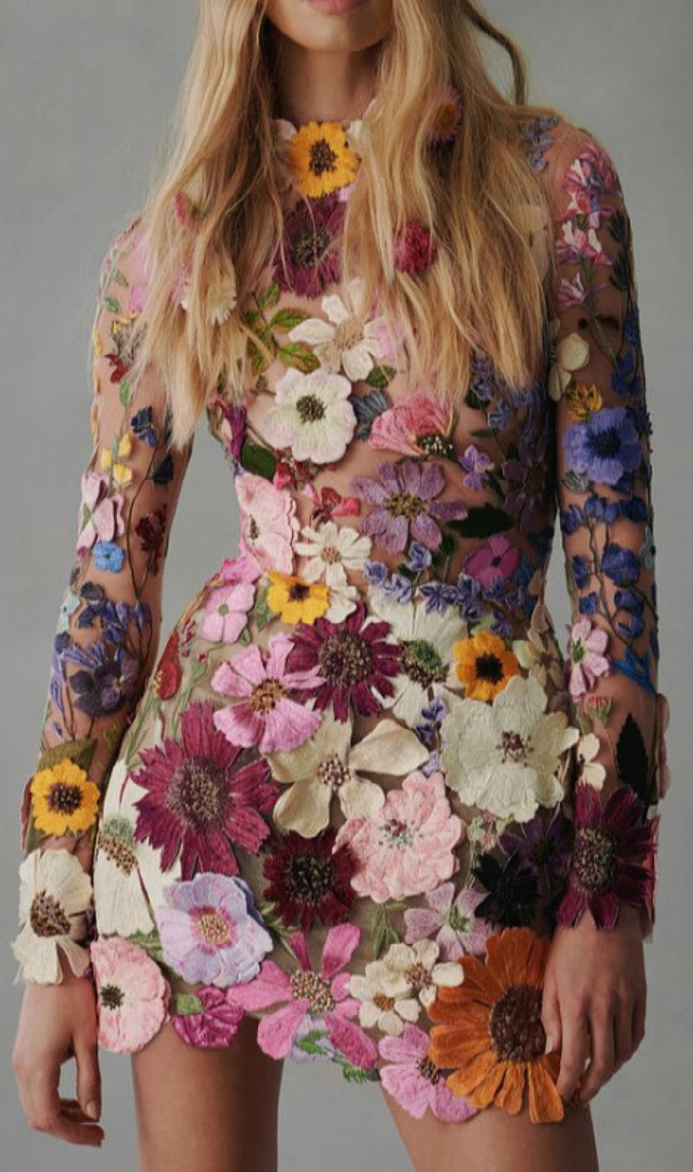 Embroidered Lace Half High Collar Mini Dress
