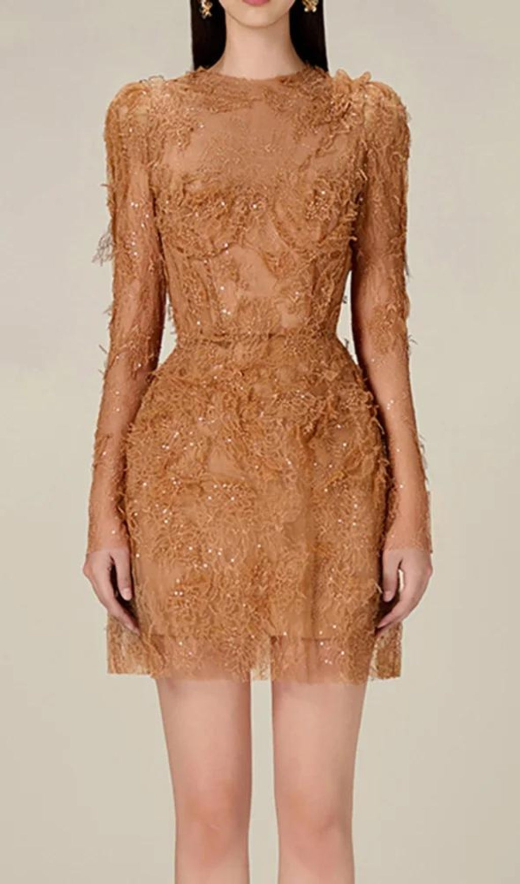 Adri Lace Embroidery Mini Dress