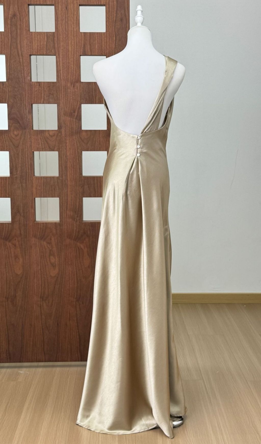 Phaelion Champagne One Shoulder Maxi Dress