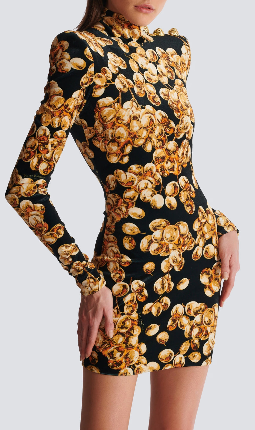 Coretta Grape Print Velvet Mini Dress