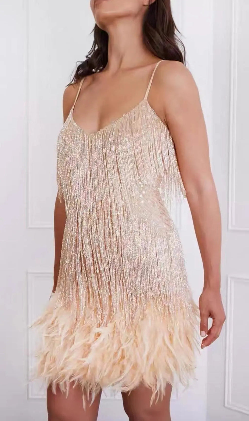 Tassel Feather Mini Dress In Beige