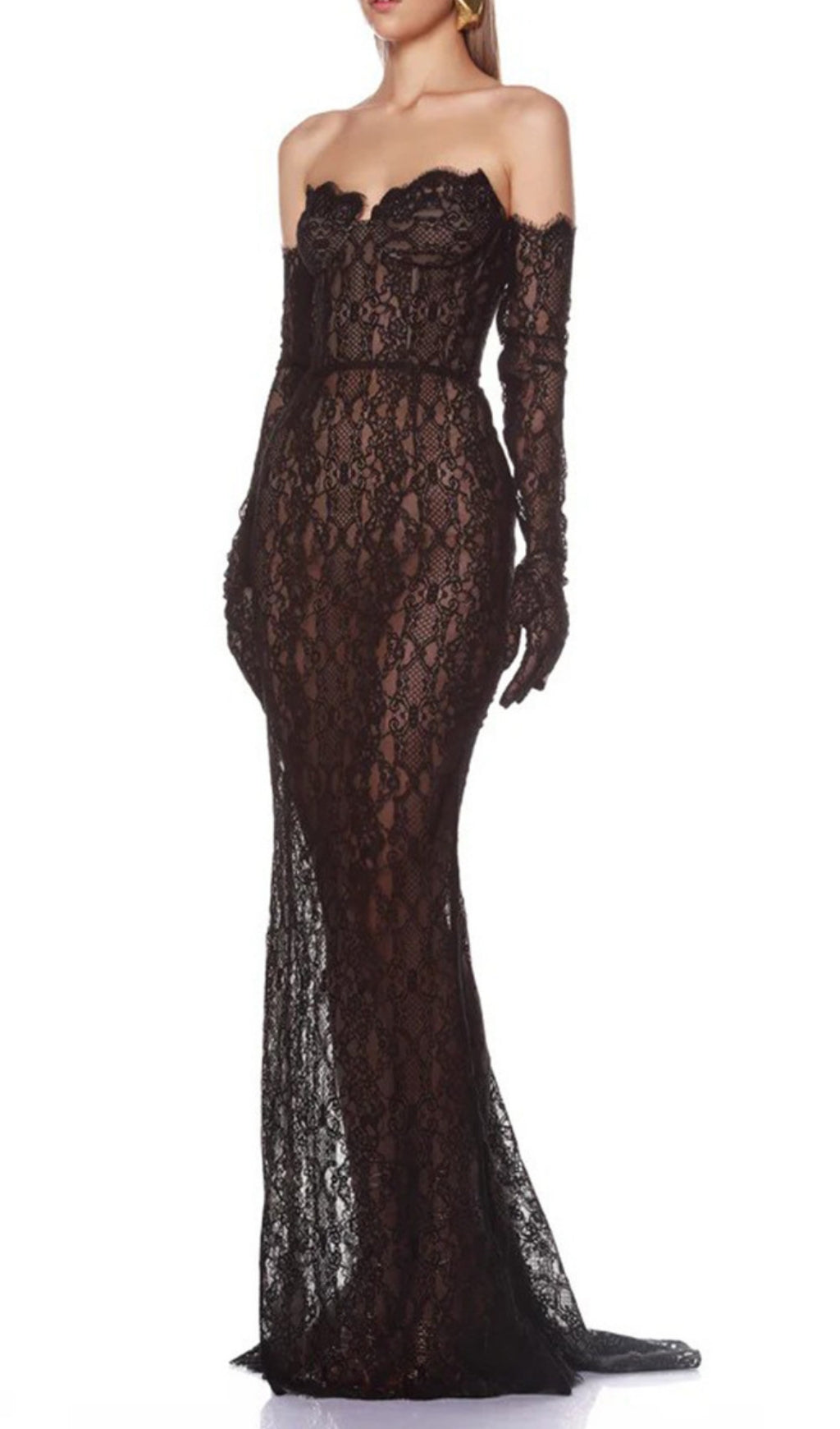 Elliana Blace Lace Gown With Gloves