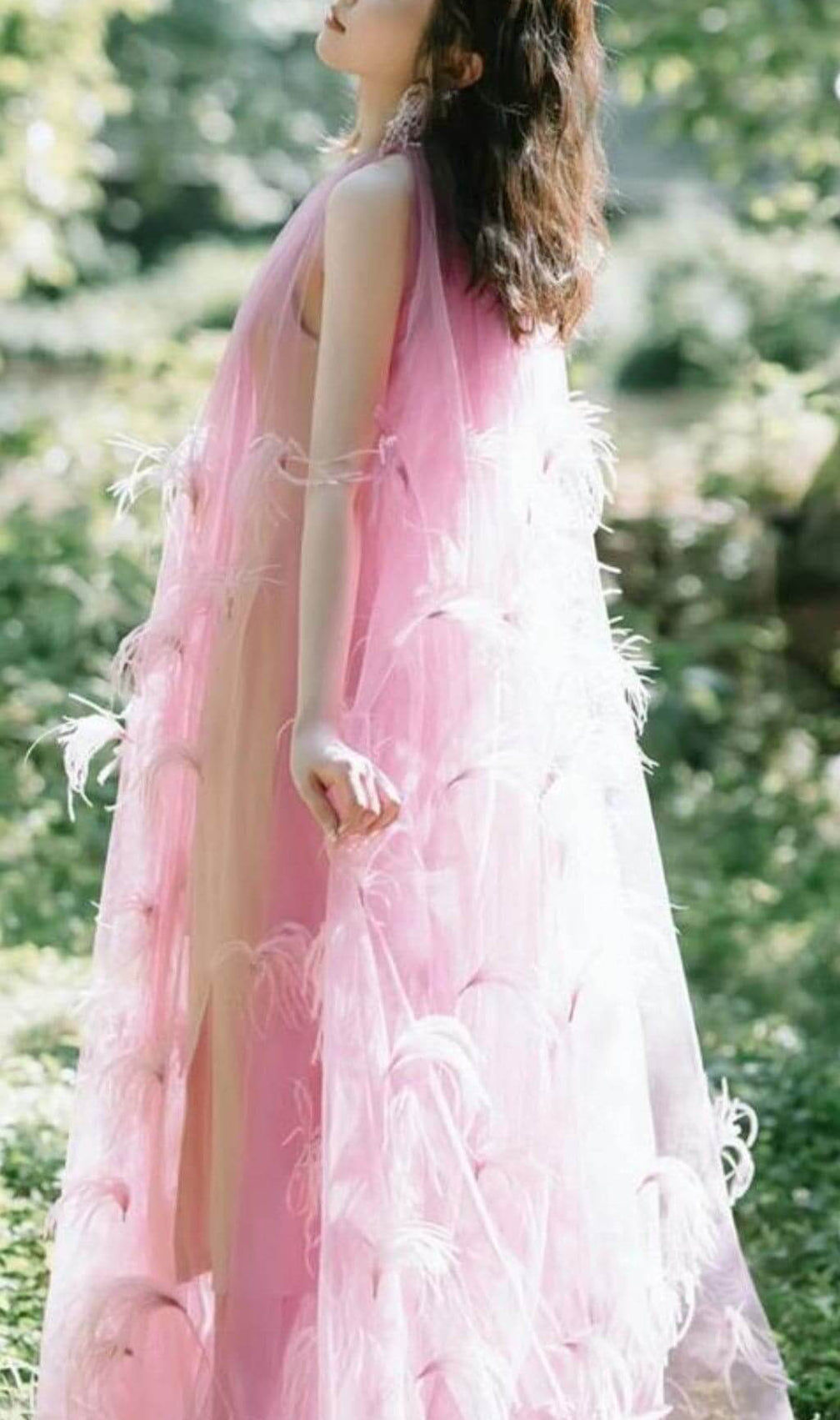 Bathsheba Feather Mesh Maxi Dress