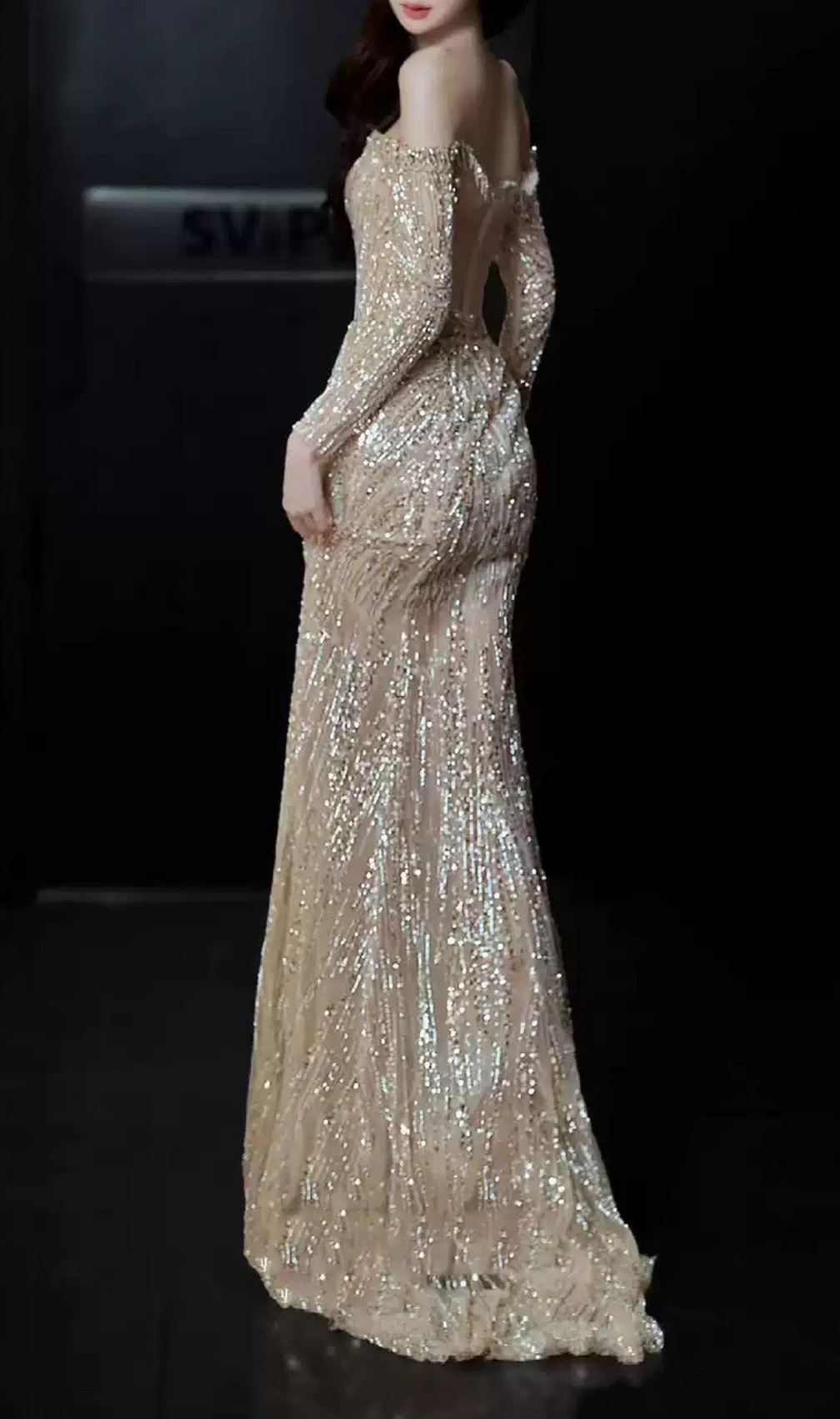 Garbo Long Sleeve Sequin Maxi Dress