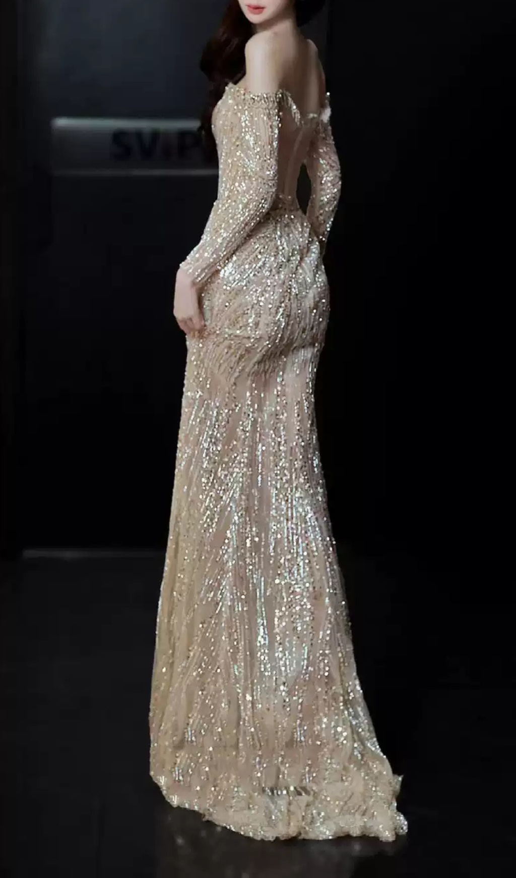 Garbo Long Sleeve Sequin Maxi Dress