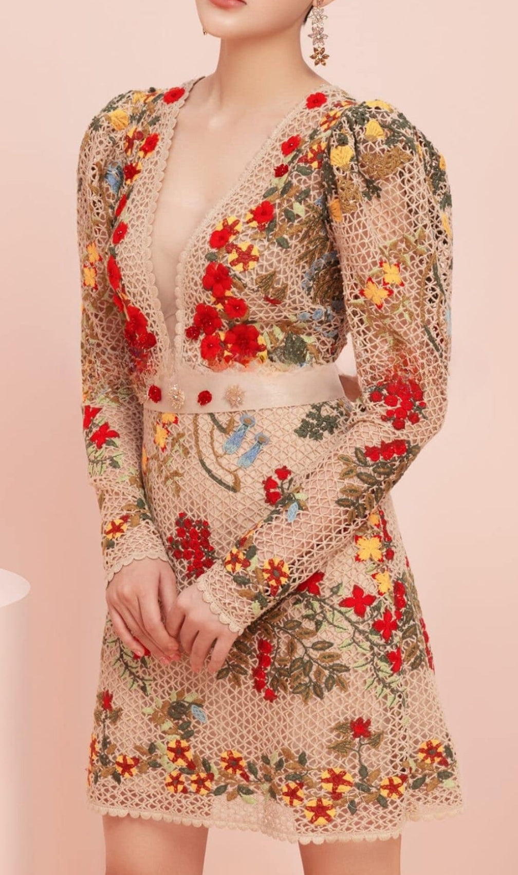 Armina Flower Embroidery Mini Dress