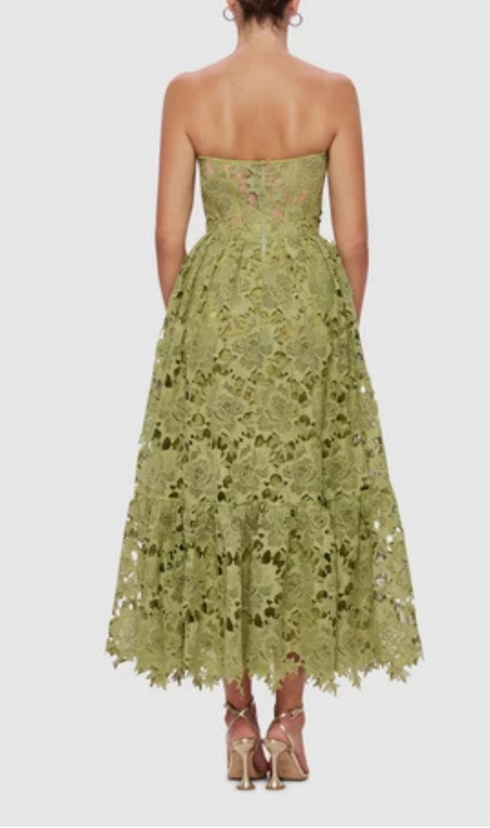 Aris Green Lace Bustier Maxi Dress
