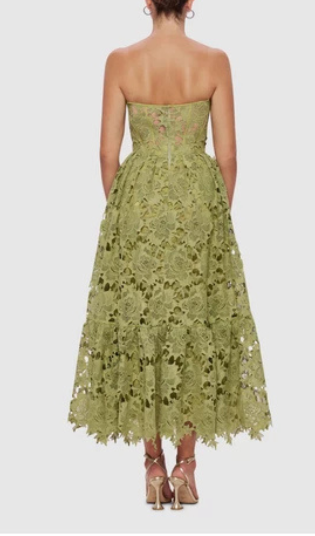 Aris Green Lace Bustier Maxi Dress