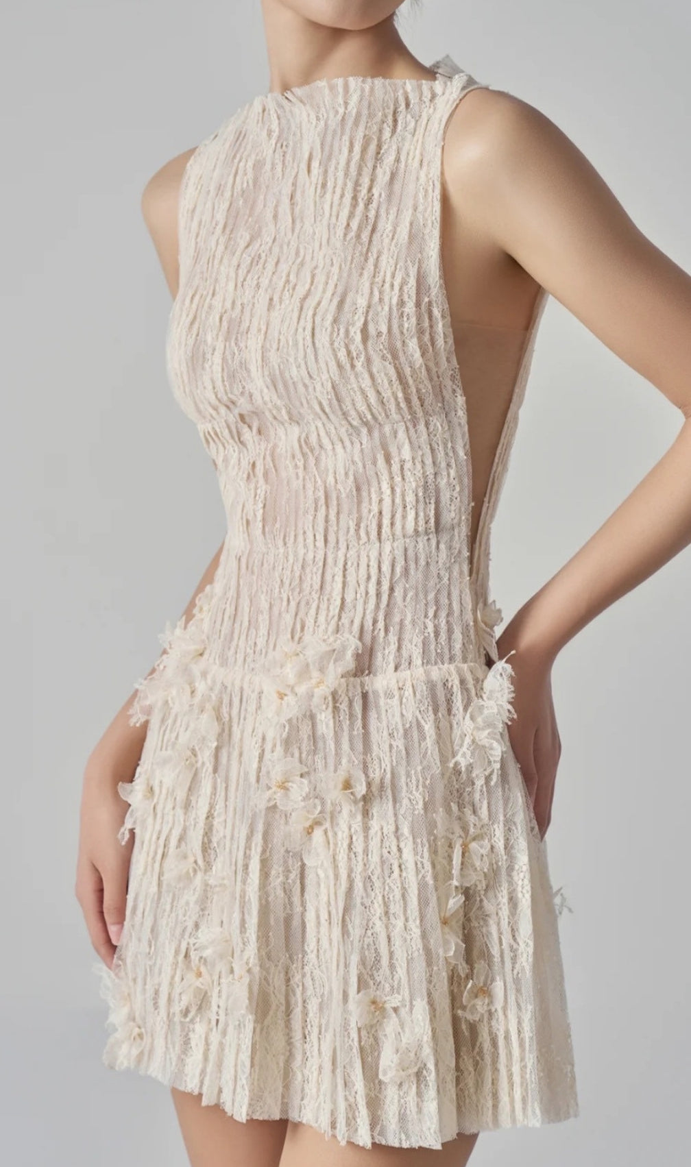 Darda Beige Flower Lace Mini Dress