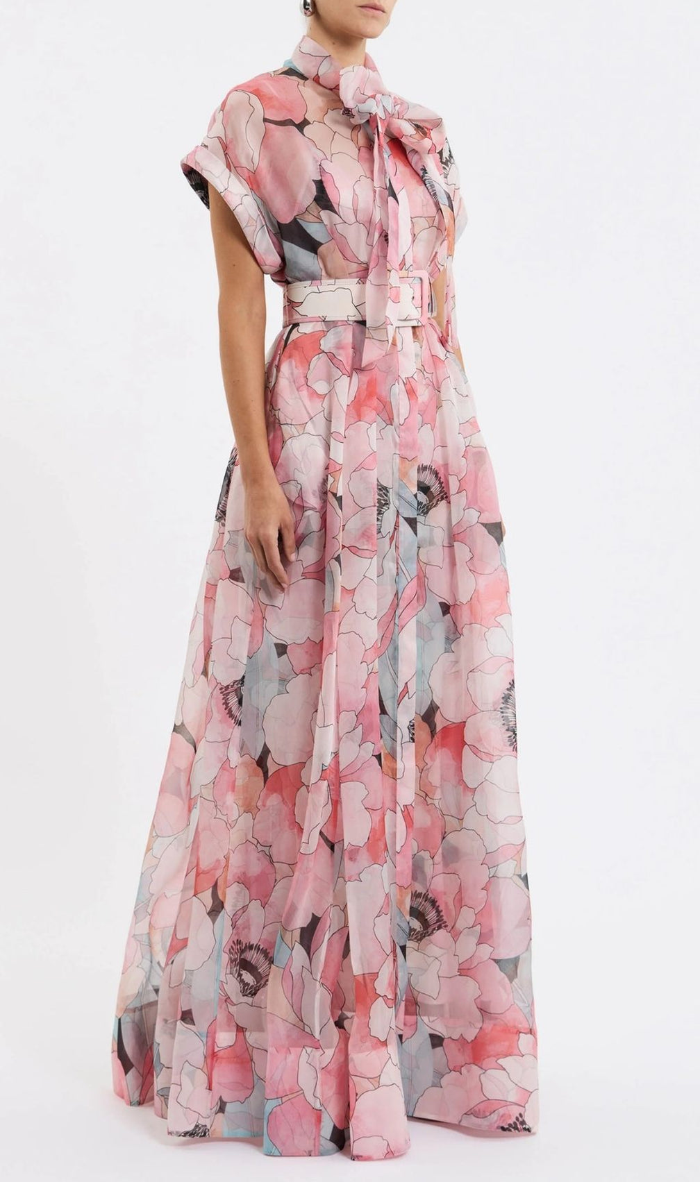 Eudoxia Pink Printed Maxi Dress