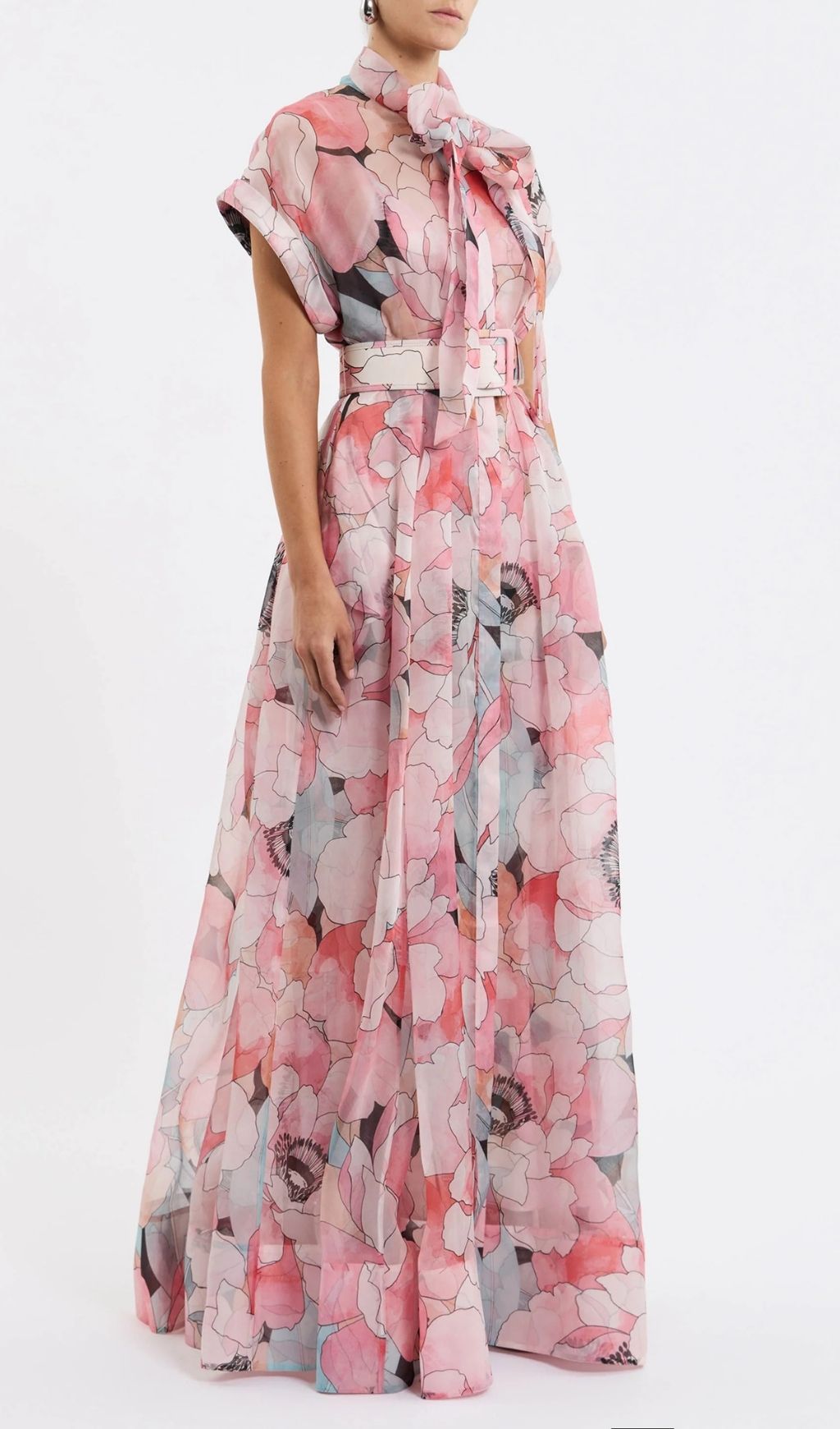 Eudoxia Pink Printed Maxi Dress