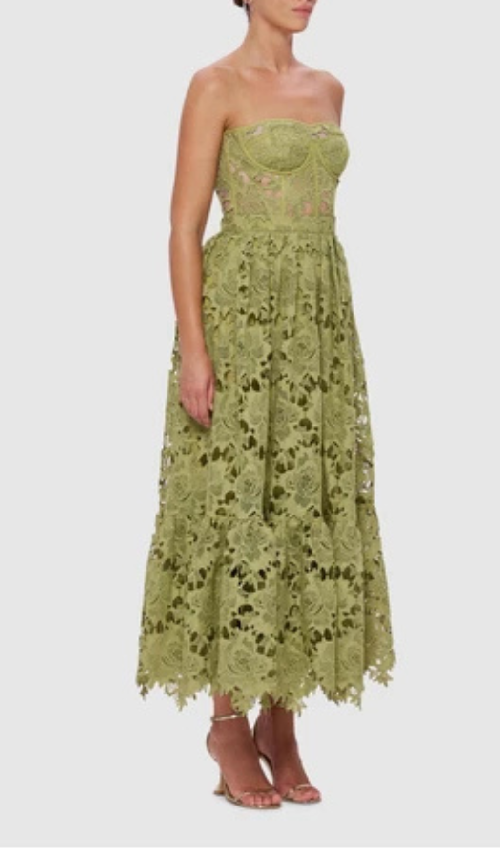 Aris Green Lace Bustier Maxi Dress