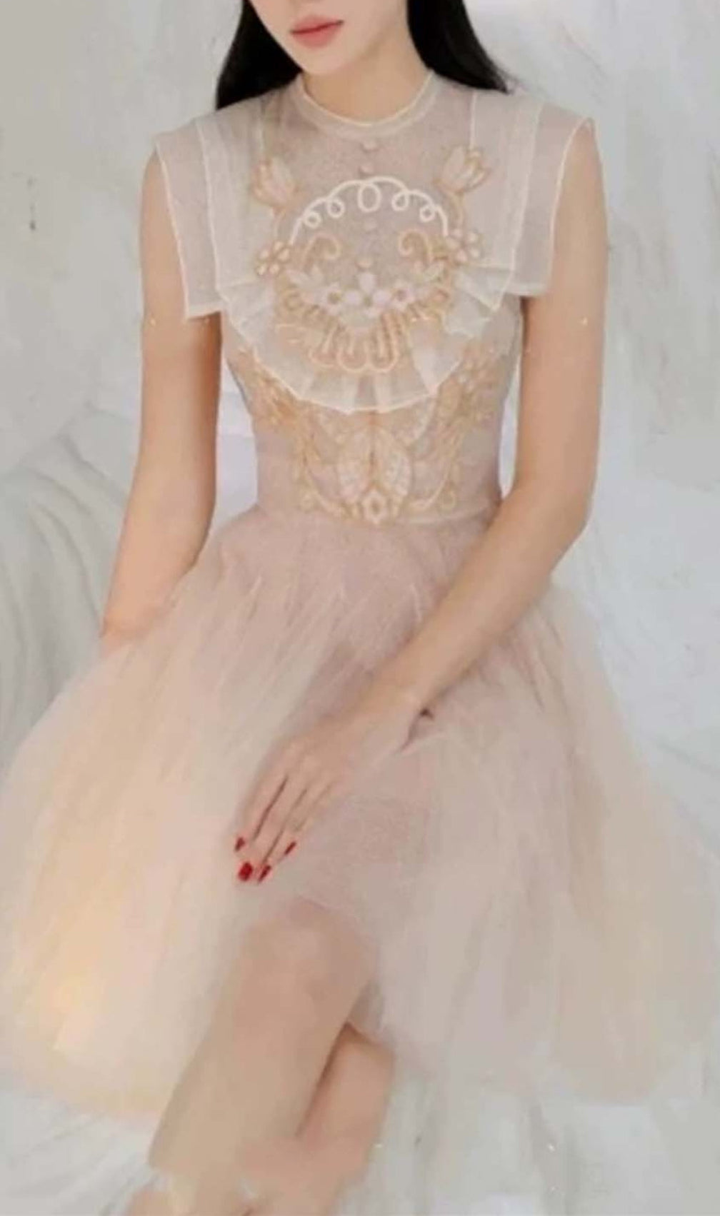 Mesh Embroidered Skater Dress