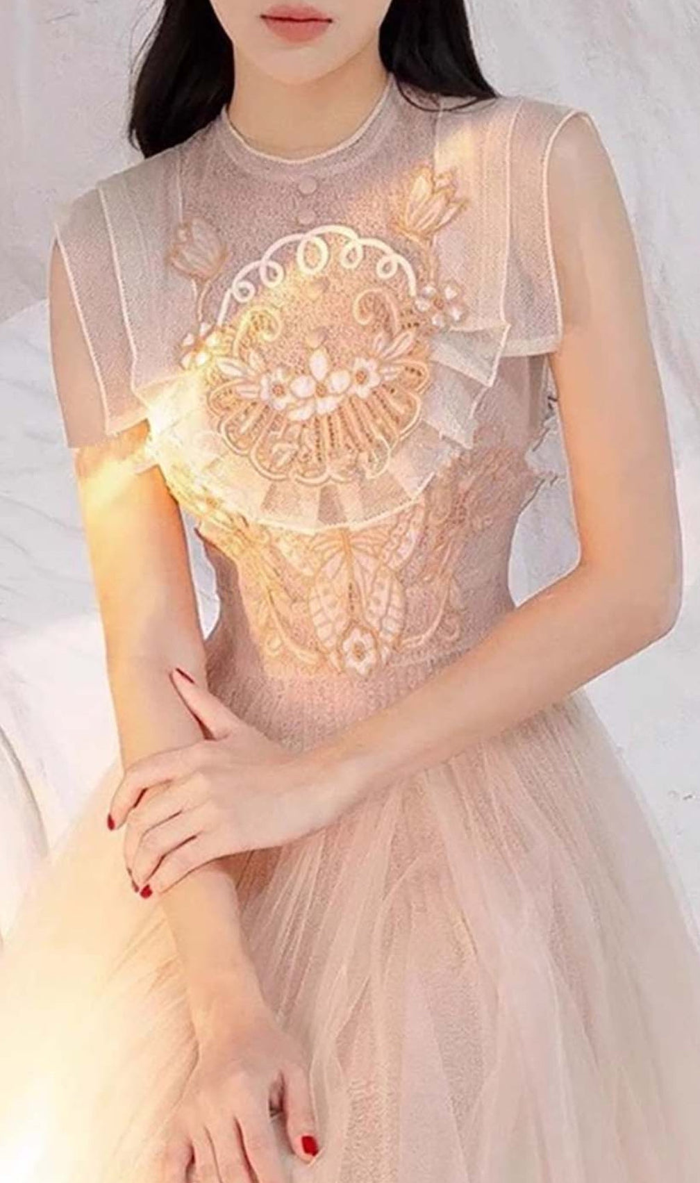 Mesh Embroidered Skater Dress