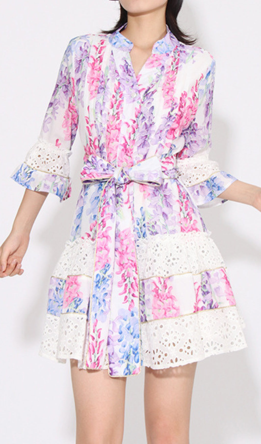 Erast Printed Embroidery Mini Dress