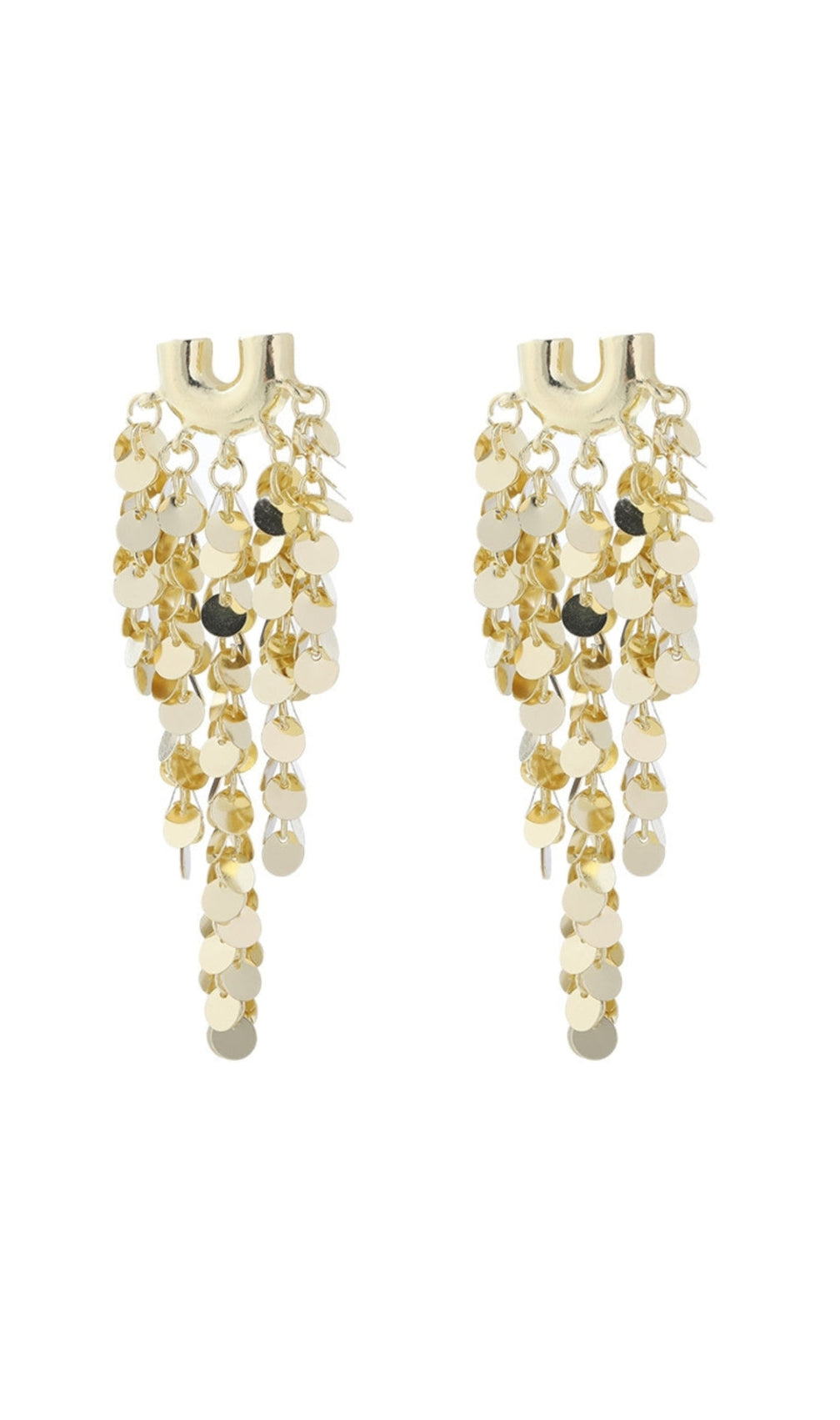 Agnieszka Fringe Sequin Earrings