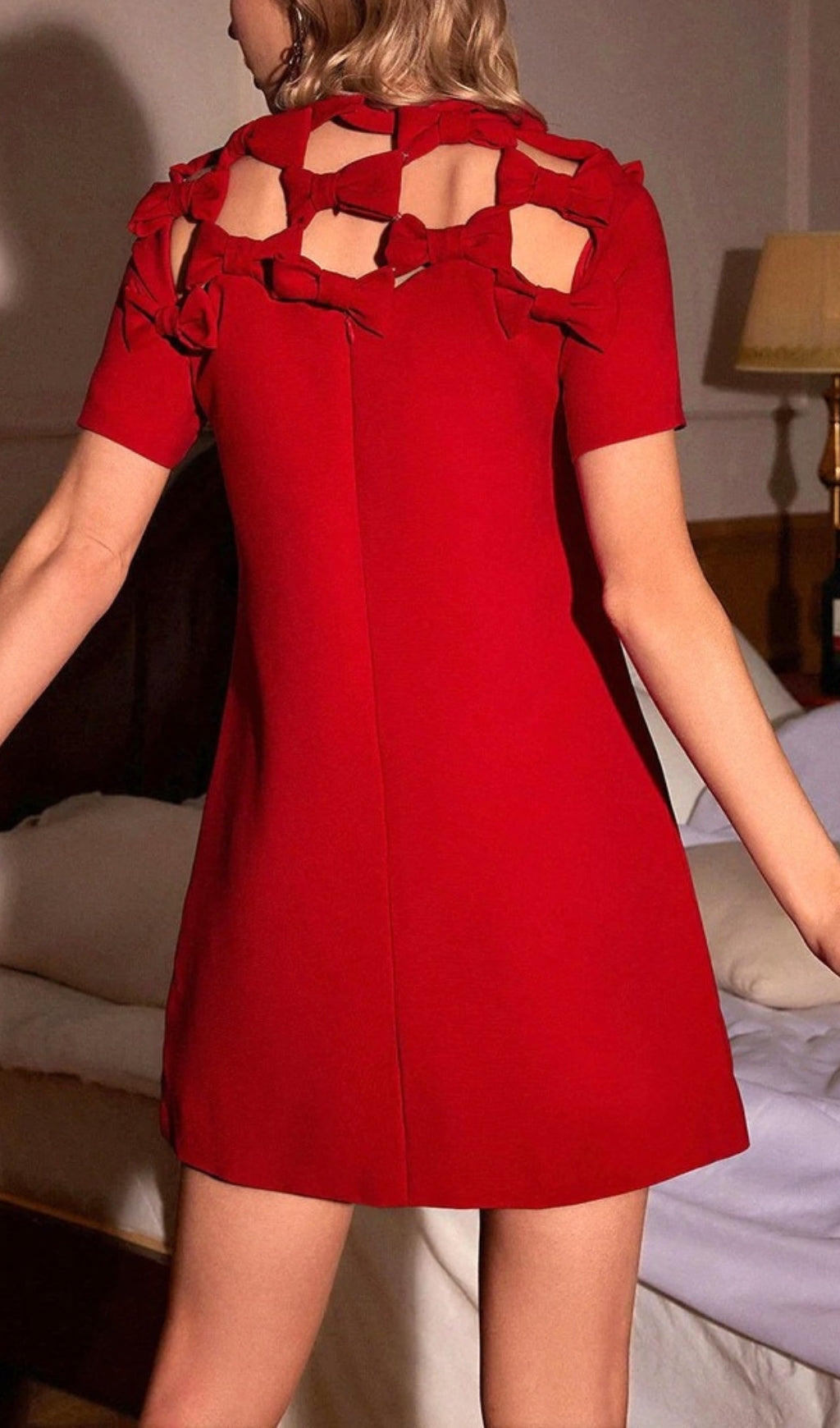 Boa Red Bow Detail Mini Dress