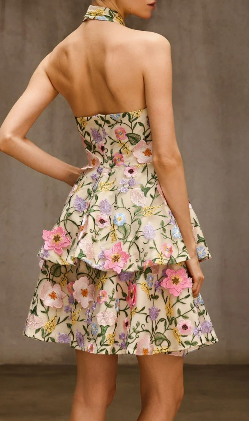 Dyllis Halterneck Floral Embroidered Mini Dress - Elegant Tiered Cocktail & Party Style
