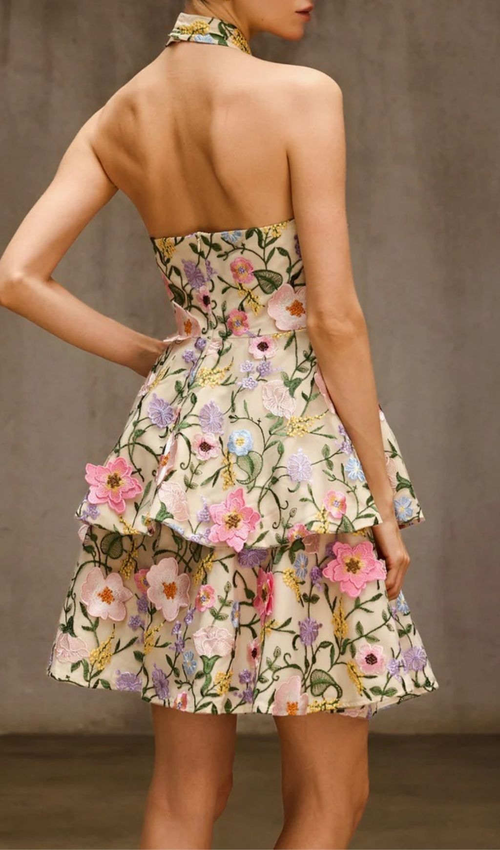 Dyllis Halterneck Floral Embroidered Mini Dress - Elegant Tiered Cocktail & Party Style