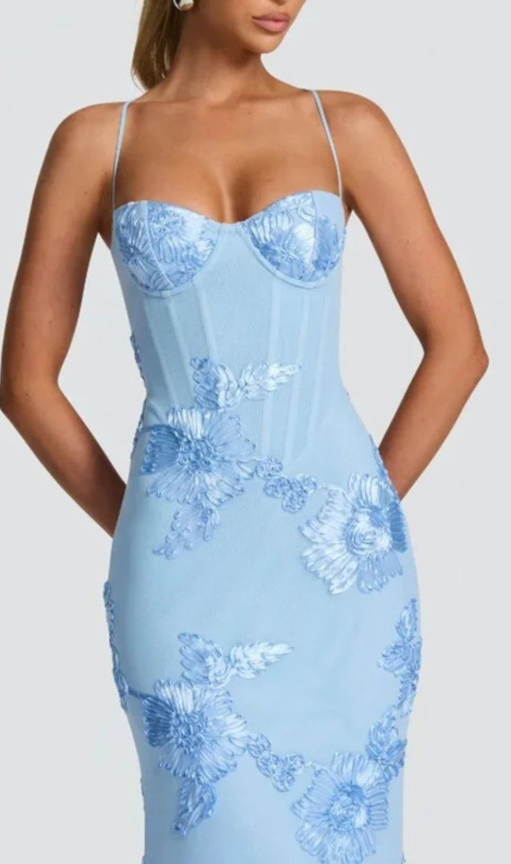 Jaleh Enchanting Blue Floral Backless Maxi Gown - Elegant Evening & Wedding Guest Dress