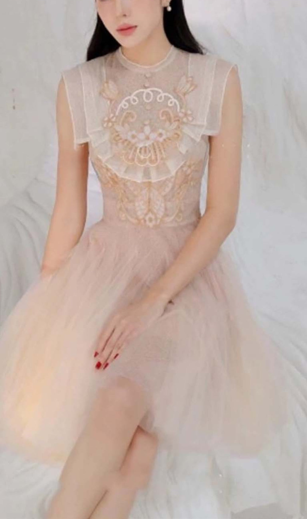 Mesh Embroidered Skater Dress