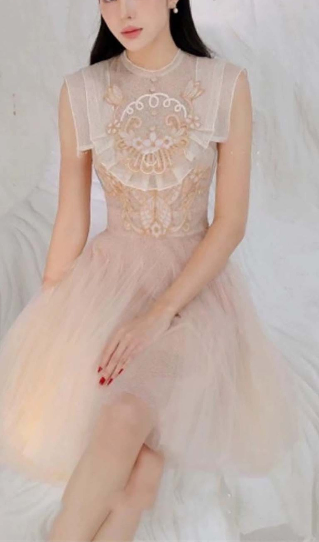 Mesh Embroidered Skater Dress