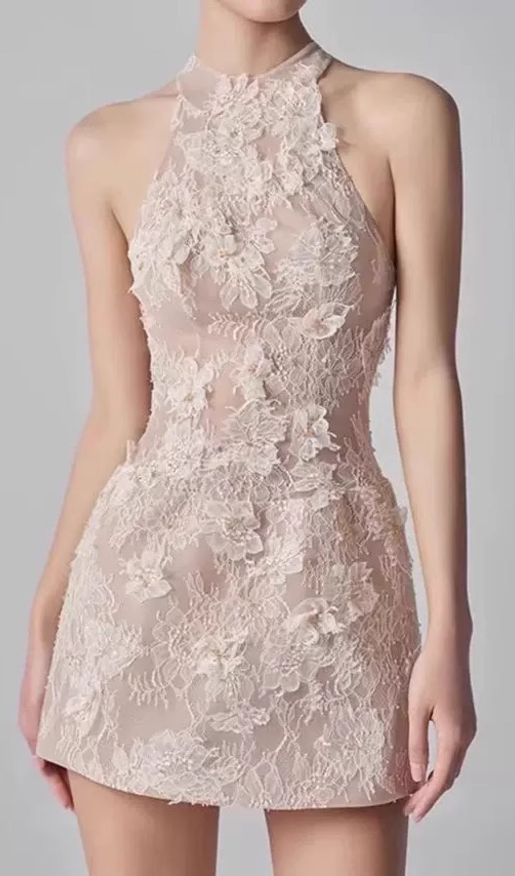 Darin Halter Flower Lace Mini Dress