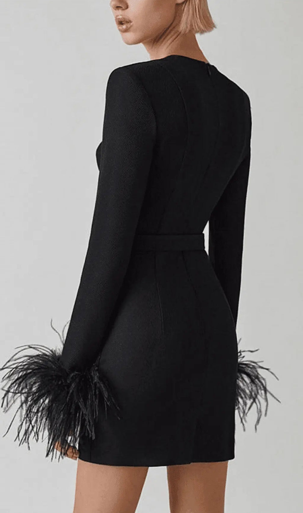 Stretch Long Sleeves Feather Mini Dress In Black