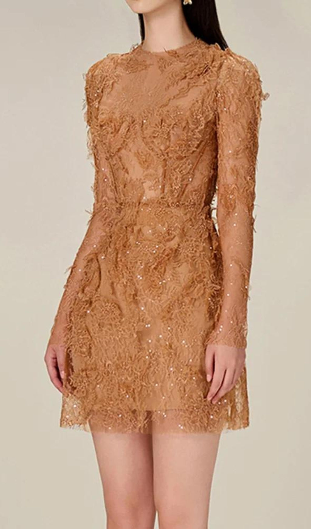 Adri Lace Embroidery Mini Dress