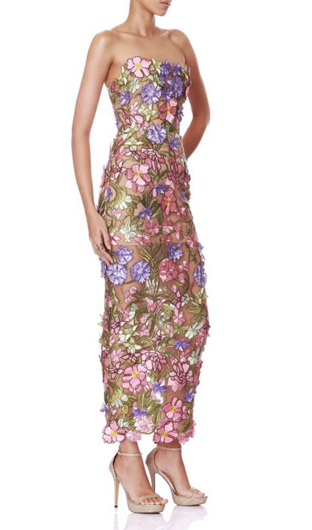 Kasey Enchanted Bloom Strapless Embroidered Maxi Dress