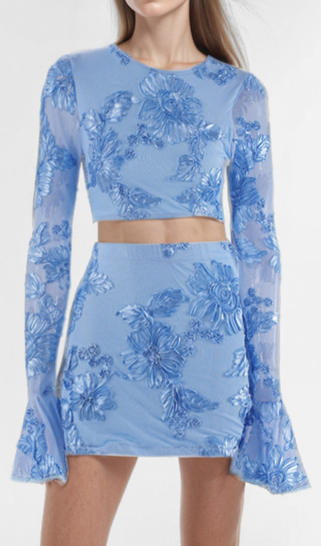 Daisy Flower Embroidery Flared Sleeve Skirt Set