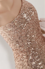 Anura Sequin One Shoulder Pleat Dress