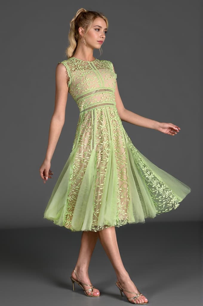 Tassoti Sleeveless Lace Embroidered Dress