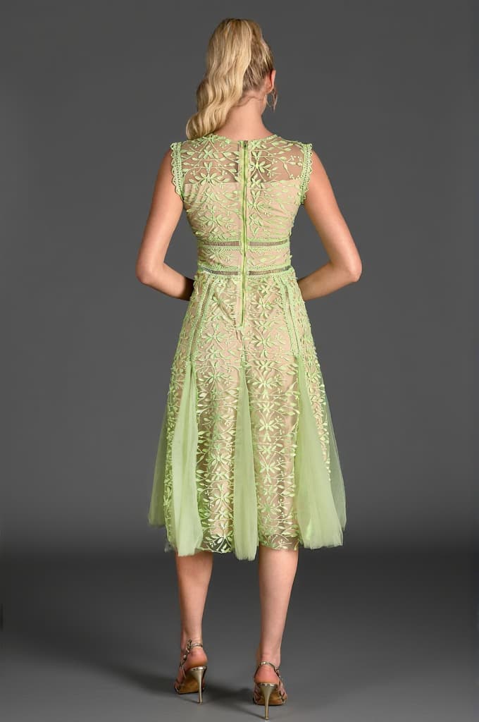 Tassoti Sleeveless Lace Embroidered Dress